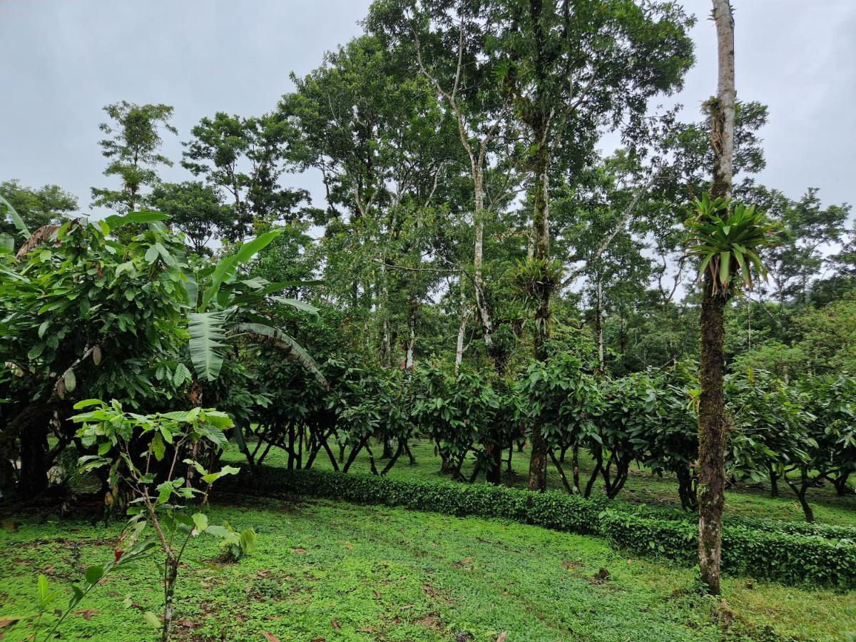 Finca Amistad Cacao Lodge Бихагуа Экстерьер фото