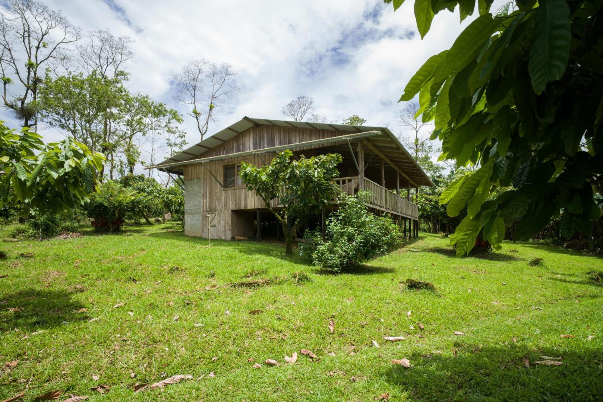 Finca Amistad Cacao Lodge Бихагуа Экстерьер фото