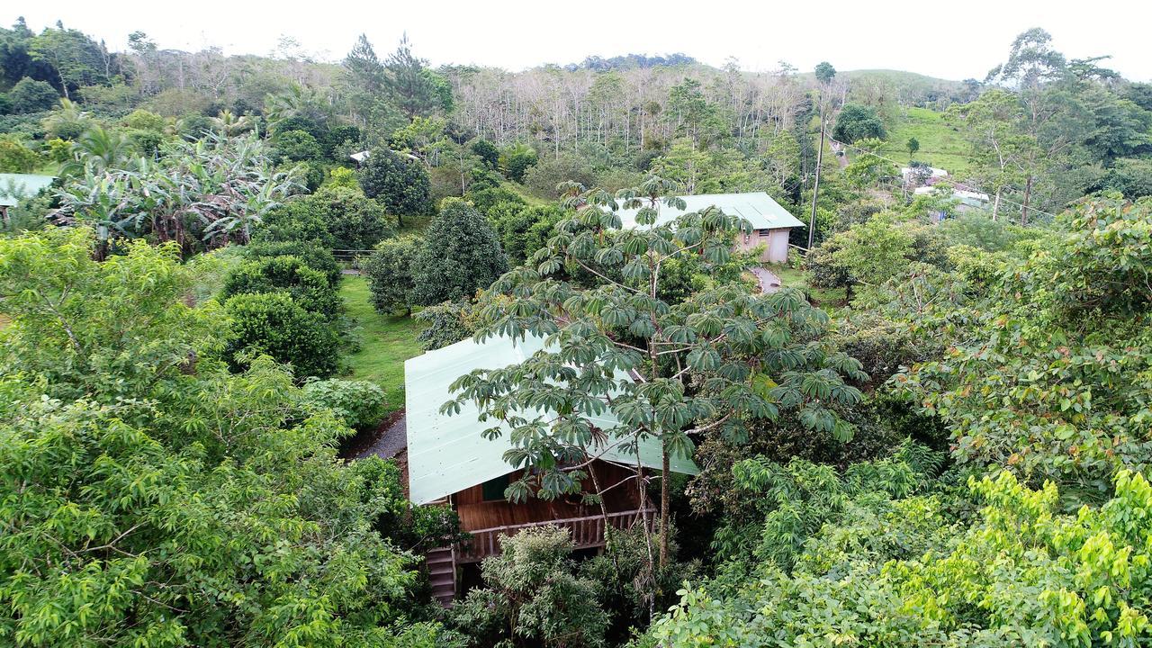 Finca Amistad Cacao Lodge Бихагуа Экстерьер фото