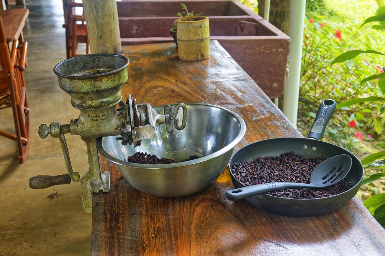 Finca Amistad Cacao Lodge Бихагуа Экстерьер фото