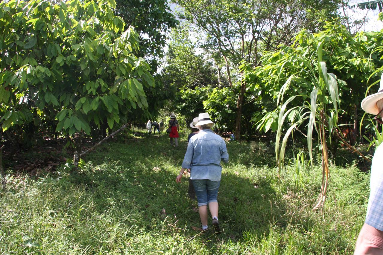 Finca Amistad Cacao Lodge Бихагуа Экстерьер фото