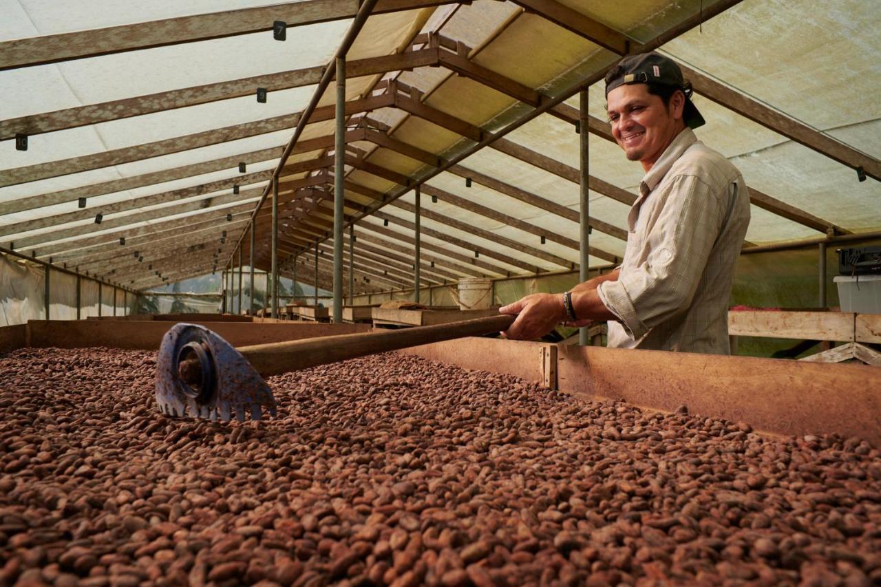 Finca Amistad Cacao Lodge Бихагуа Экстерьер фото