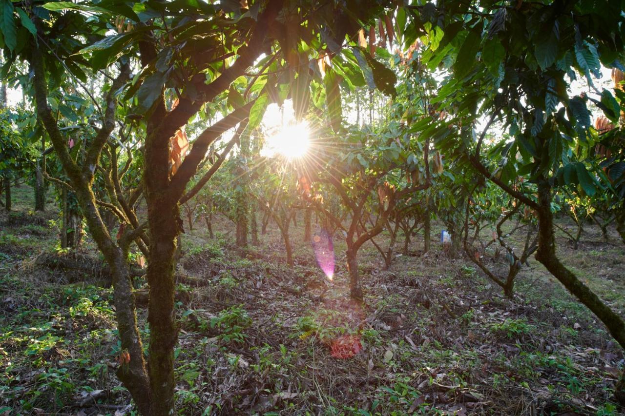 Finca Amistad Cacao Lodge Бихагуа Экстерьер фото